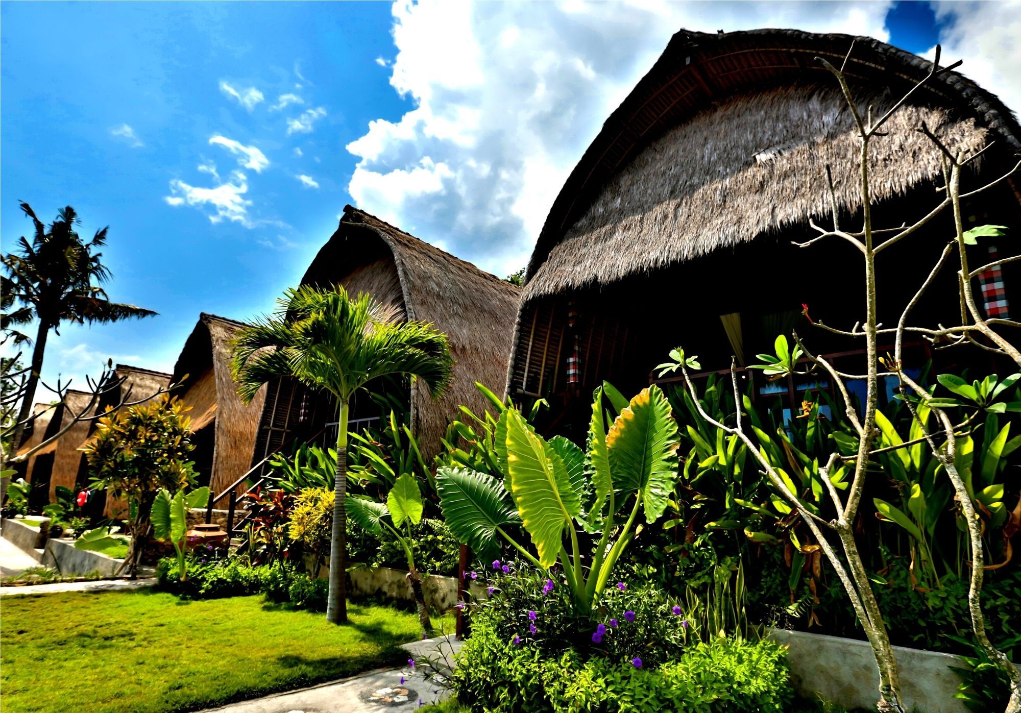Sunset Coin Lembongan Hotell Nusa Lembongan Exteriör bild